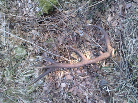 Takto som ho našiel