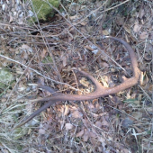 Takto som ho našiel