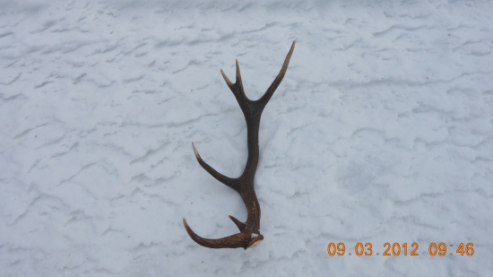 Kamarátov včerajši