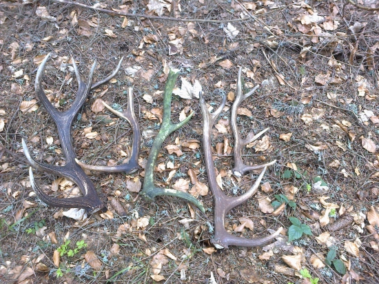 Ukončenie sezóny s kamarátmi !!!!