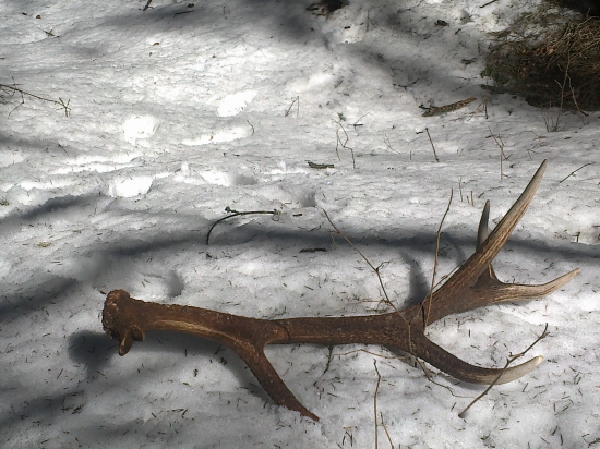 Dnes kamarátov 12 torák