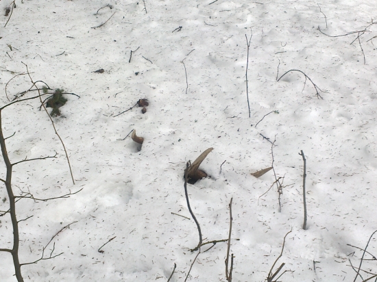 .Kamarátovy sa zadarilo,prvý pohlad.