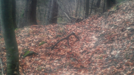 Prvý pohľad kID231042