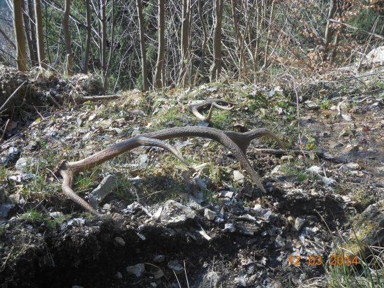 Kamrátovy sa zadarilo.