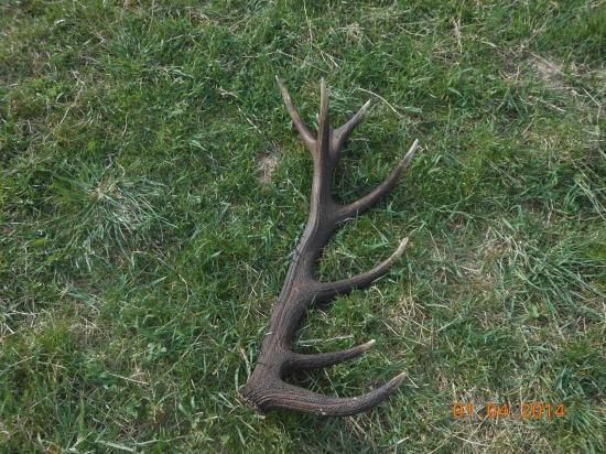 Pár k ID 161684 najdený po dvoch rokoch.