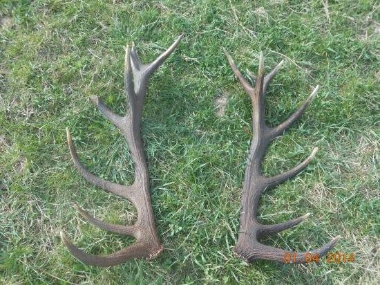 Po dvoch rokoch konečne spolu