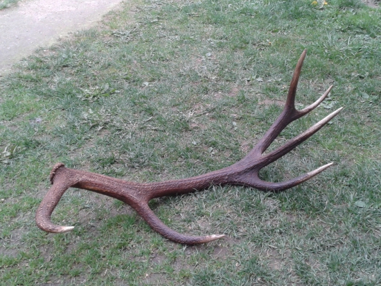 Kamarát ho našiel z autá.