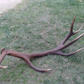 Kamarát ho našiel z autá.