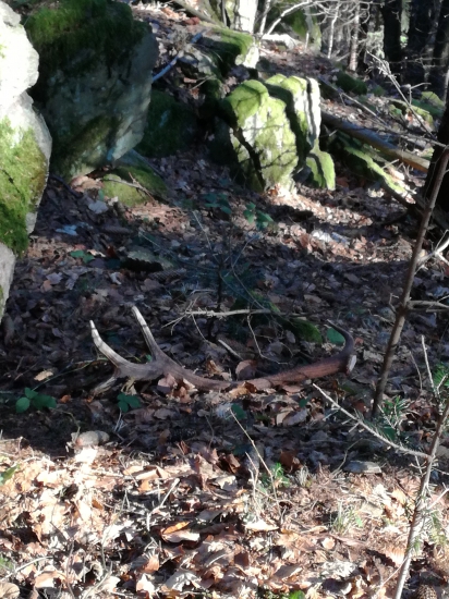 12torák prvý pohľad