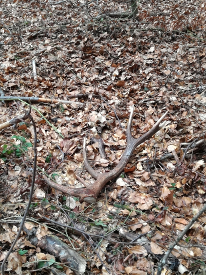 Dnes druhý toho roku