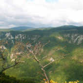 muran