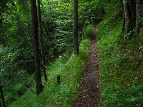Glacká cesta