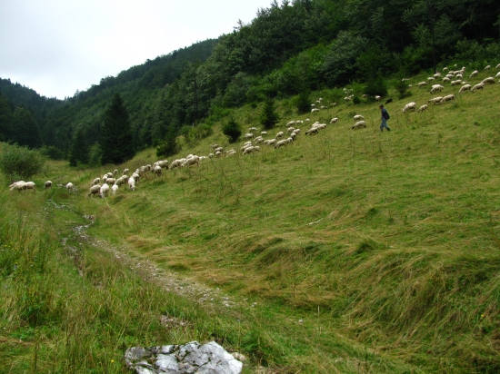 Dedinky, chodník na Geravy