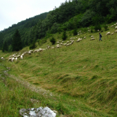 Dedinky, chodník na Geravy