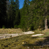 Veľká Biela voda pri Vernári