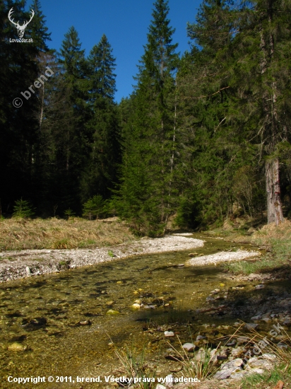 Veľká Biela voda pri Vernári