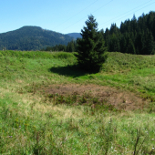 vysušená Okrúhla jama