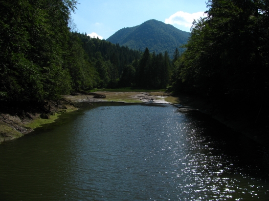 Klauzy