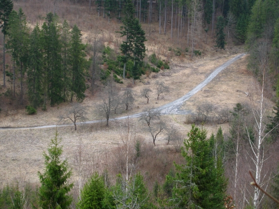Lesnica zhora