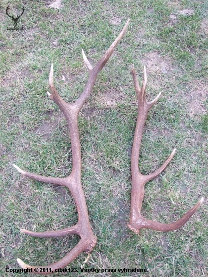 dnešne