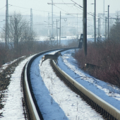 srnčie2