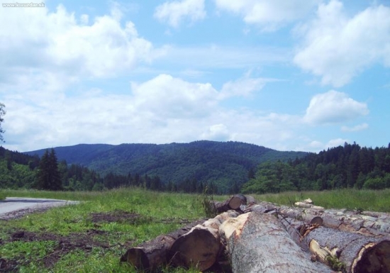 Kocúrová,Kolísky z Bikšovej lúky.