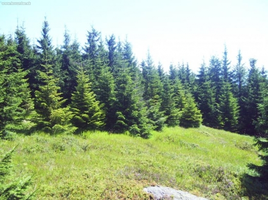 Na Veľkej Knole