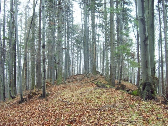 Dubnica