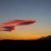 Lenticularis