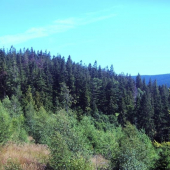 Nad Havraňou dloinou