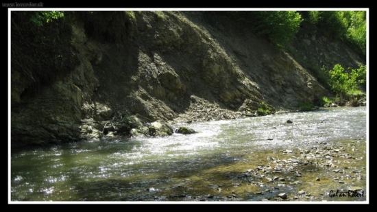 Topľa
