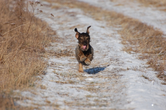 Parnas z Kršťanskej záhrady