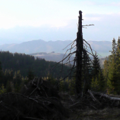 jedna z dolín pod Čertovou