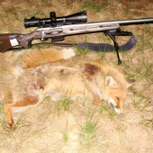 Howa M1500 pokrstena
