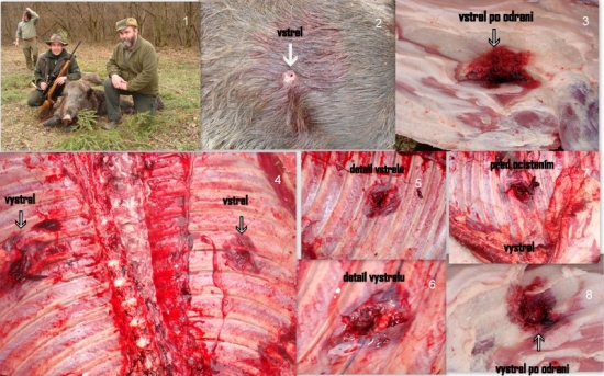 30-06 Sprg Norma Vulkan 11,7 g