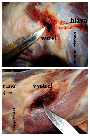 Sako Super Hammerhead 180 gr 11,7g