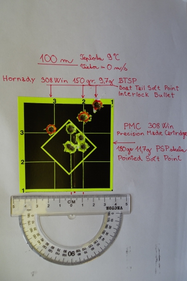 100 m s 308 Win  PMC a Hornady