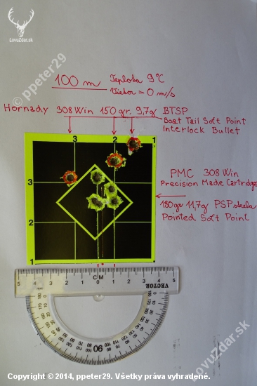 100 m s 308 Win  PMC a Hornady