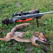 Úspešne ráno s Nordic Predator