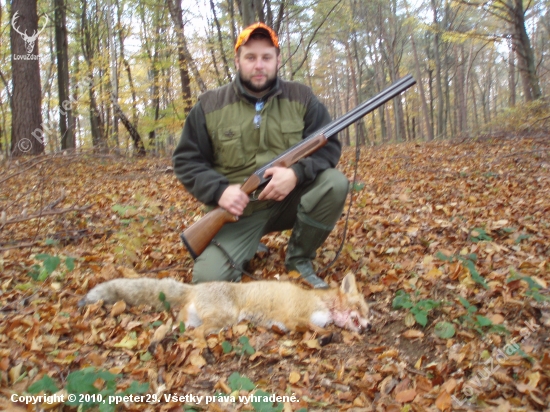 Moj dnesny lisiak s pohonu.