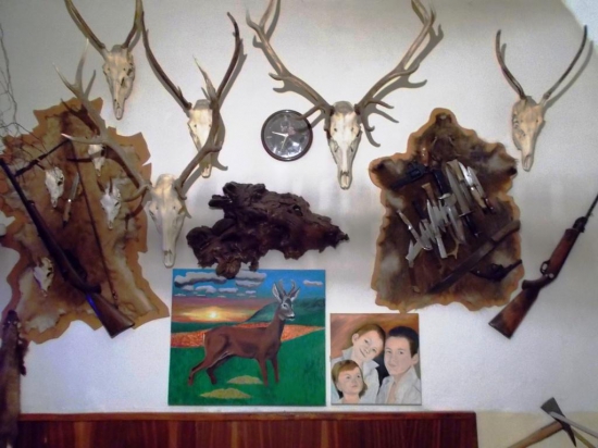 zátišie so srncom po 10-tich rokoch