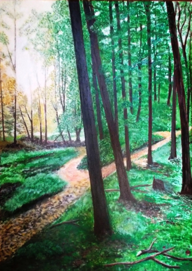 pohľad z posedu na západ slnka