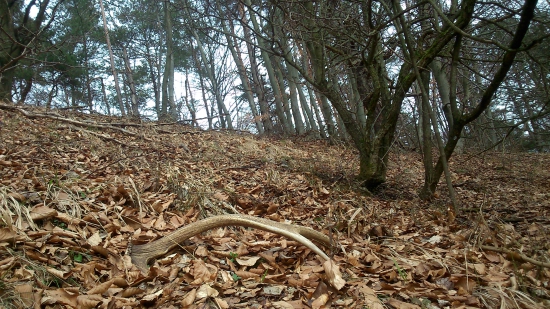 Starý ale štartovací