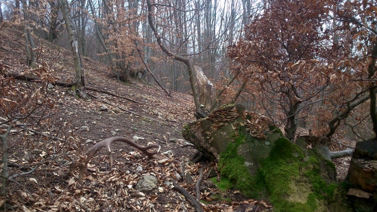 16-toráčik mojej polovičky