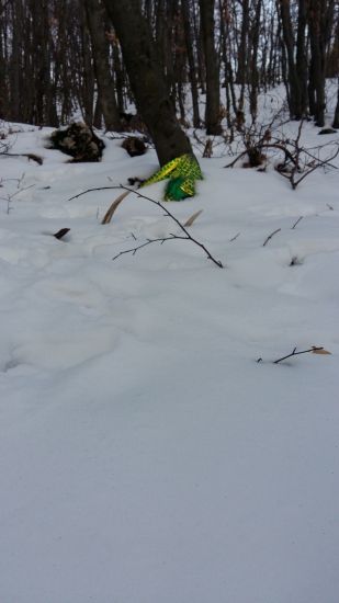 Išla som nakuknut na balonik