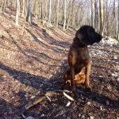 Nebudem sa fotit nechcem ani ma nenutťe...