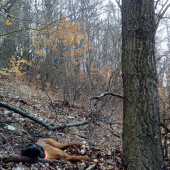 Odpočinok musí biť