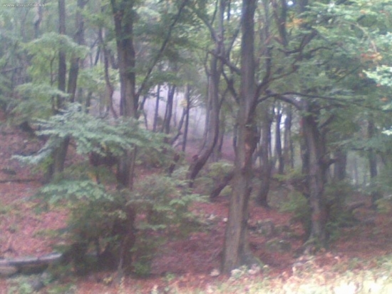krasa prirody