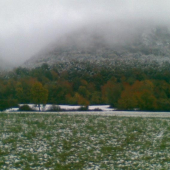 trochu nas to prekvapilo