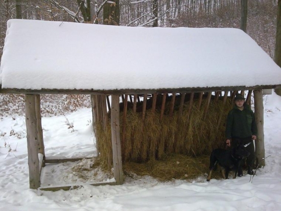 boli sme trošku zakrmit